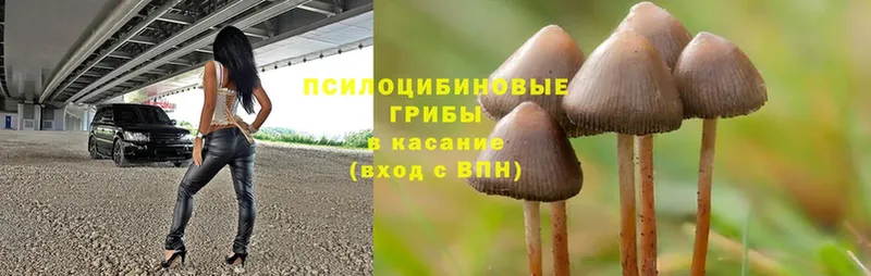 ссылка на мегу ссылка  Миньяр  Псилоцибиновые грибы Magic Shrooms 